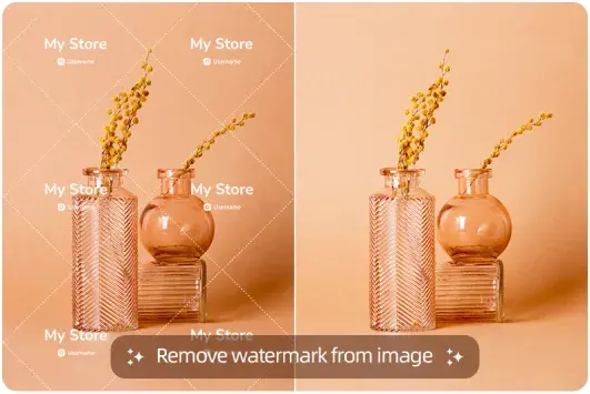 Remove watermark with prompts