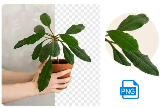 Convert JPG to PNG Transparent