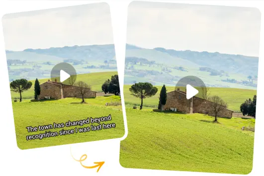 Remove subtitle from video