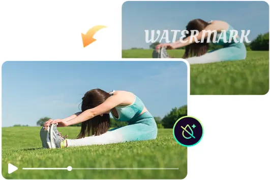 Remove unwanted text from video