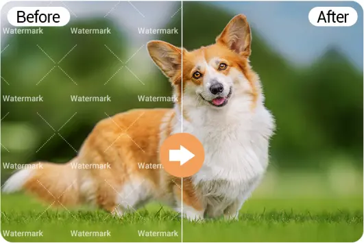 AI video watermark remover