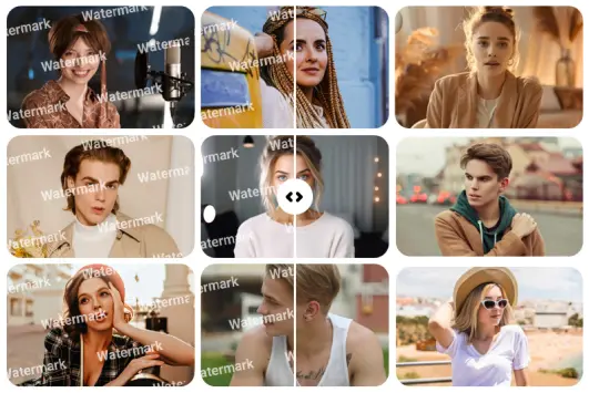 Batch video watermark removal