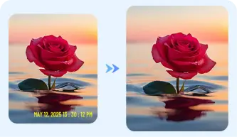 Remove Date Stamp