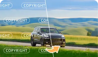 Remove Copyright Stamp