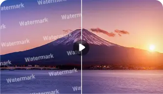 Video text remover for stock vide