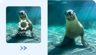 Video text remover for promo video