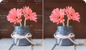 Remove the watermark from an image